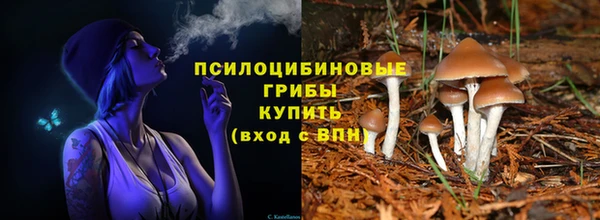 гашиш Аркадак